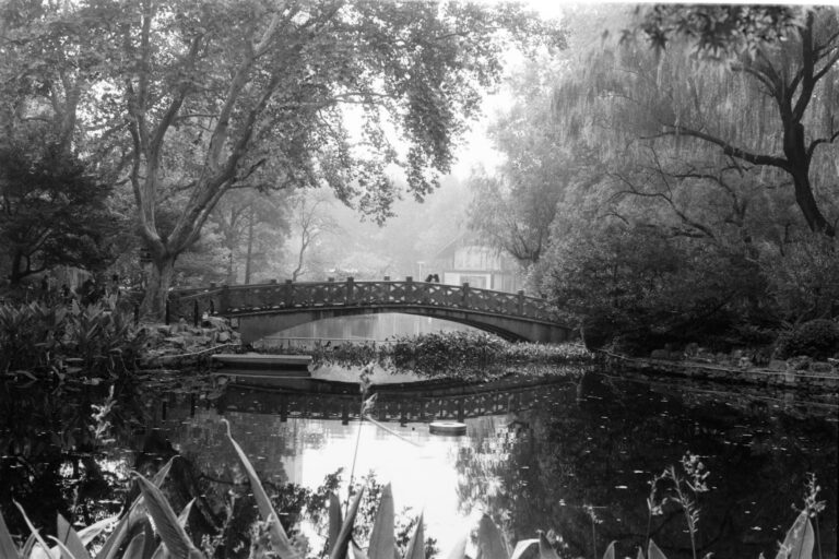 モノクロフィルム撮影記: Ilford Pan 100
